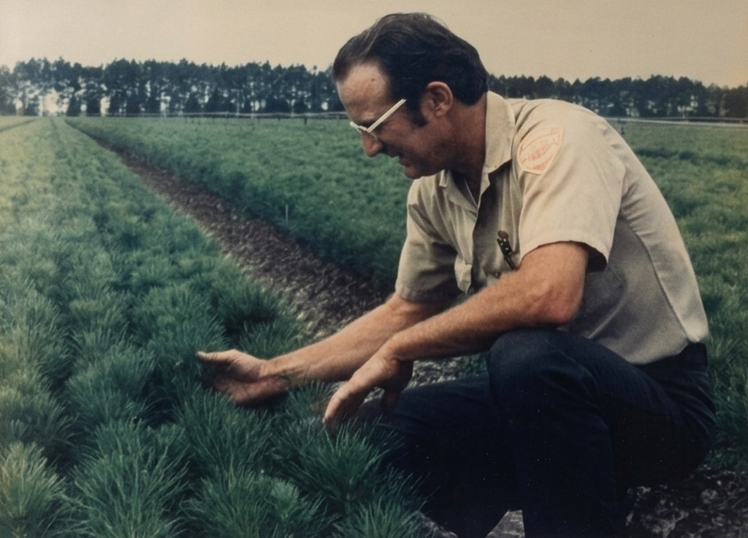 Howard Stanley, Georgia State Forester — Amber's grandfather