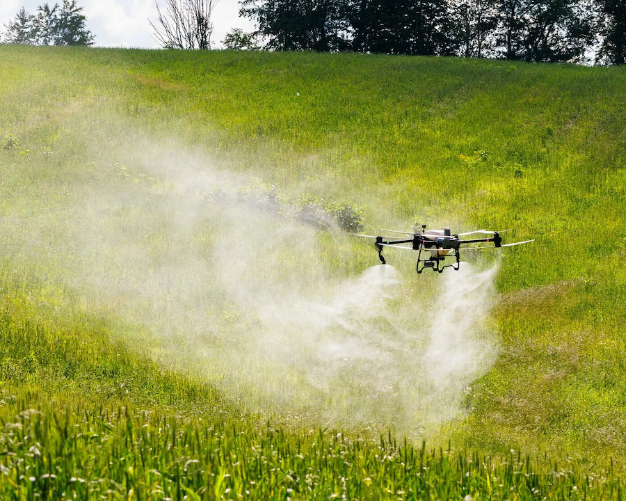 Aerial view of pasture land